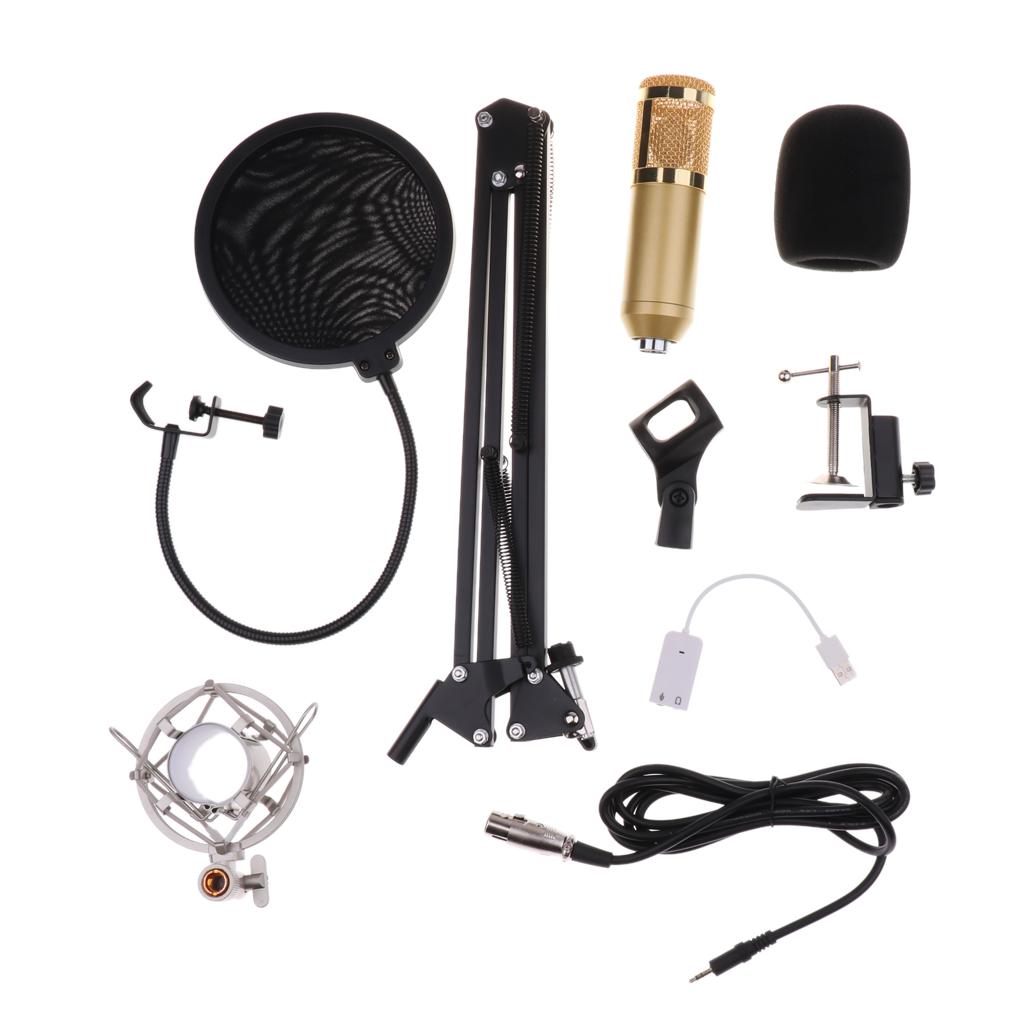 BM800 Condenser Microphone Sound Studio Singing Recording w/Shock Mount Gold