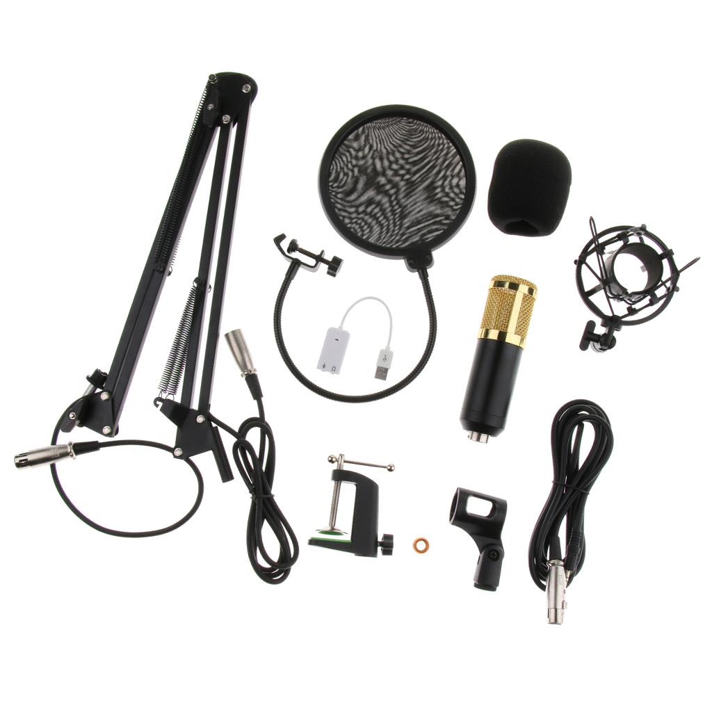 Condenser Microphone Sound Studio w/Shock Mount XLR Cable Mic Shield Cover