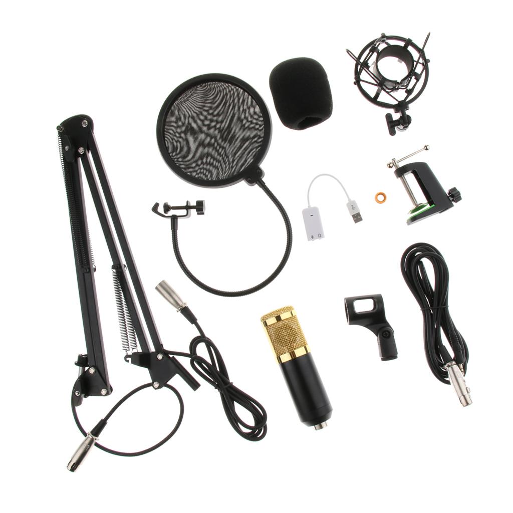 Condenser Microphone Sound Studio w/Shock Mount XLR Cable Mic Shield Cover