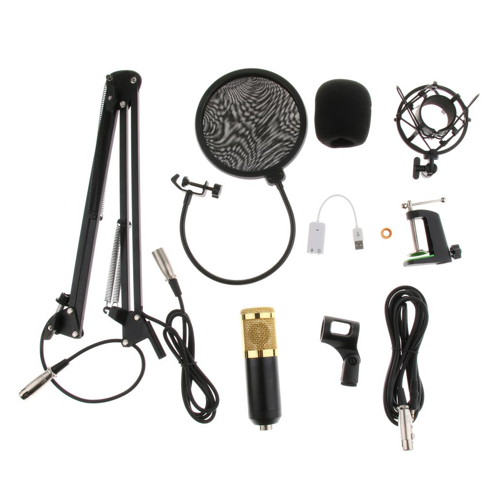 Condenser Microphone Sound Studio w/Shock Mount XLR Cable Mic Shield Cover