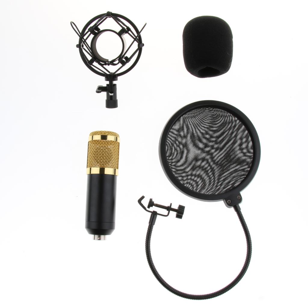 Condenser Microphone Sound Studio w/Shock Mount XLR Cable Mic Shield Cover