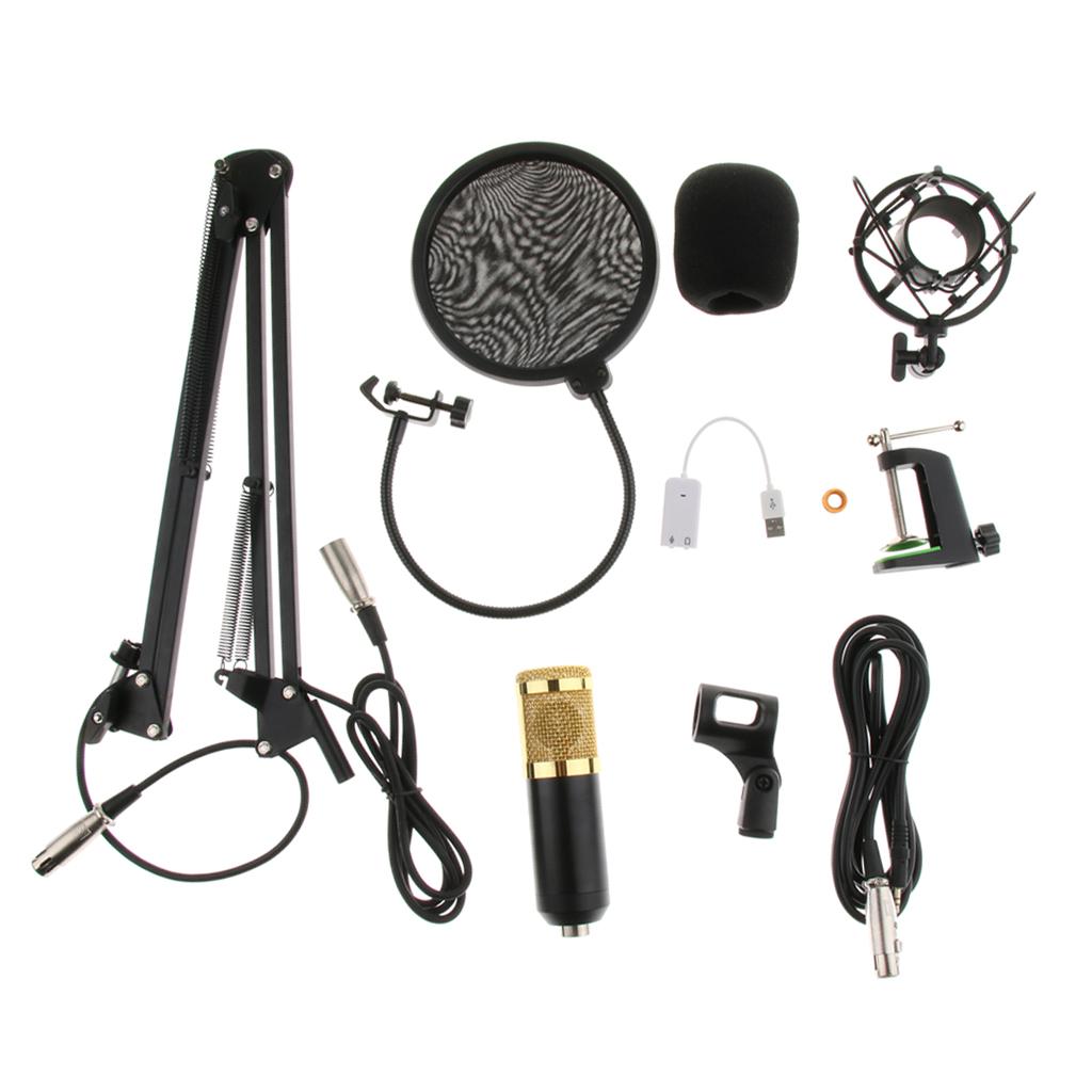 Condenser Microphone Sound Studio w/Shock Mount XLR Cable Mic Shield Cover