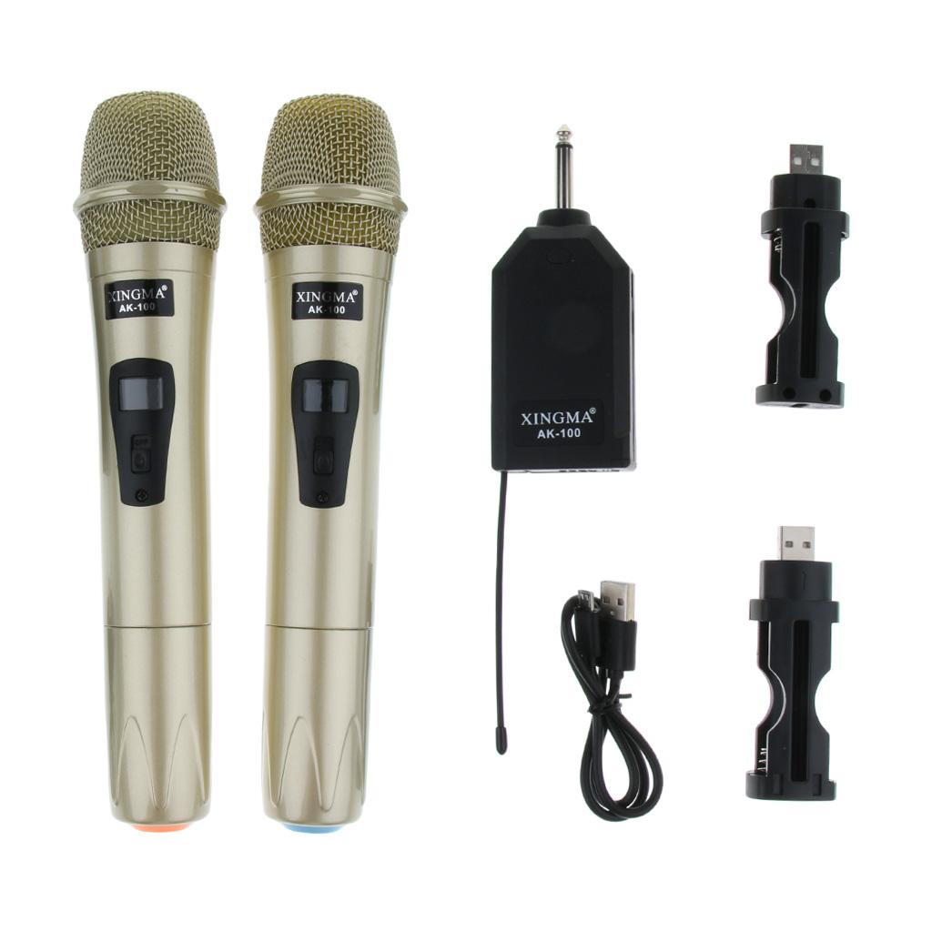 FM Wireless Handheld Microphone for Family Karaoke Meeting Party