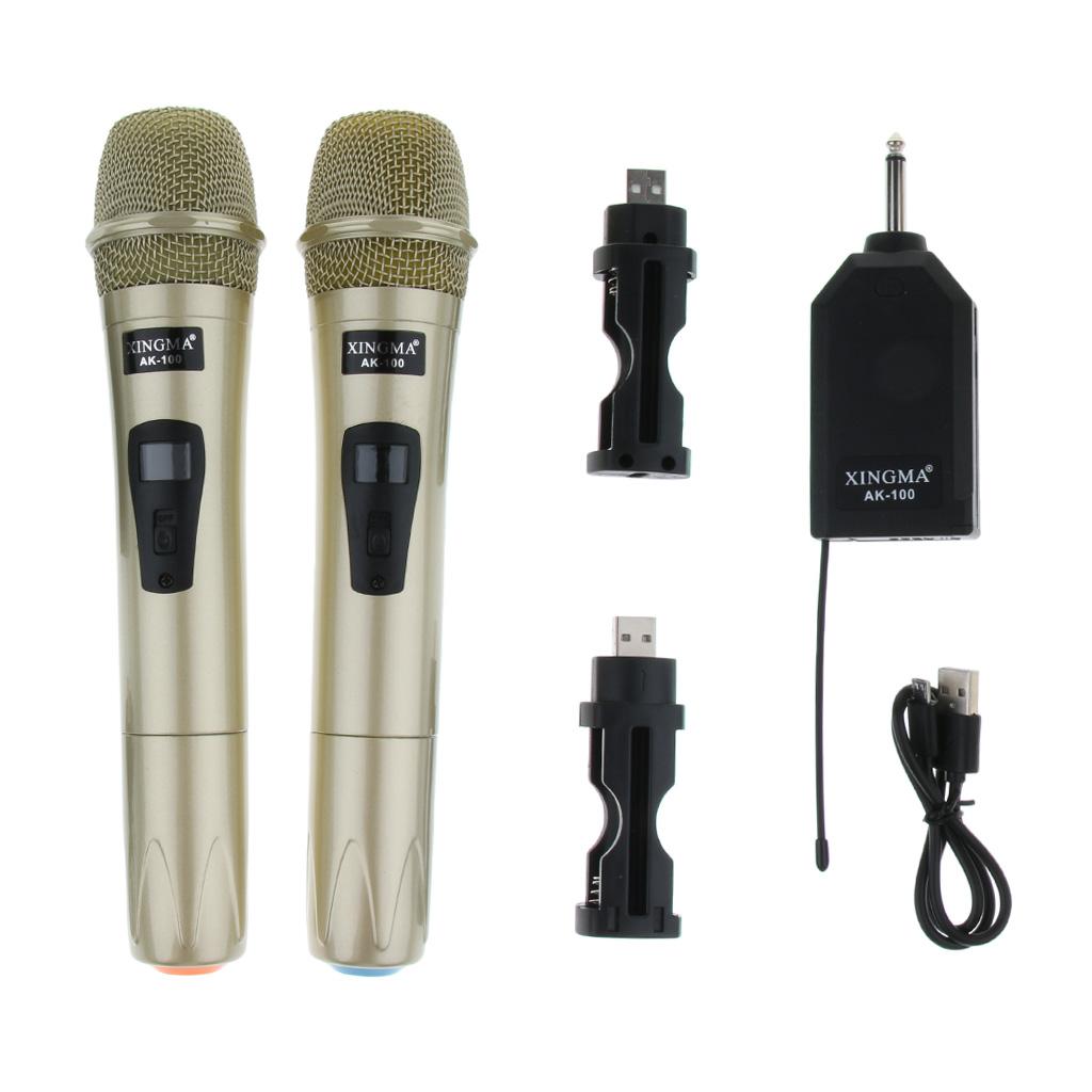FM Wireless Handheld Microphone for Family Karaoke Meeting Party