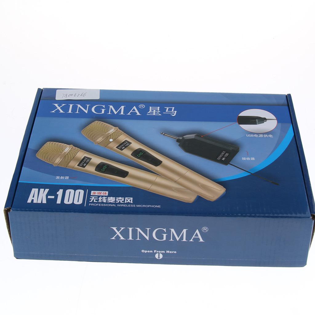 FM Wireless Handheld Microphone for Family Karaoke Meeting Party