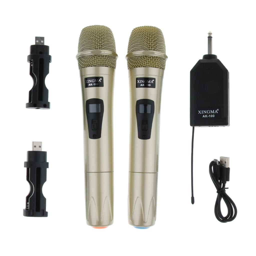 FM Wireless Handheld Microphone for Family Karaoke Meeting Party