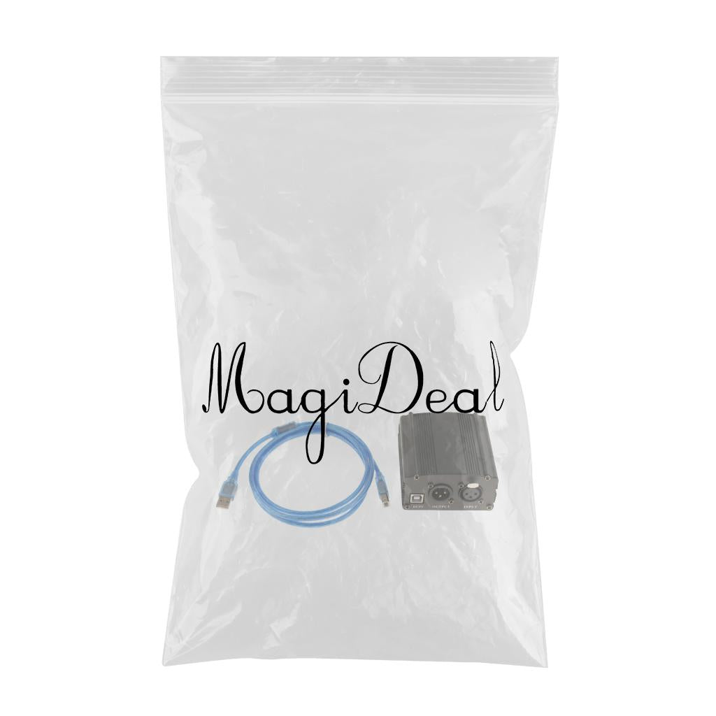 USB Condenser Large Diaphragm Microphone w/ Power and Cable Adapter