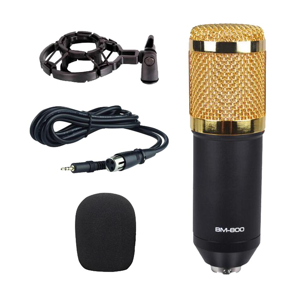 Wired Microphone Handheld Microphone for KTV Standard Type- Black