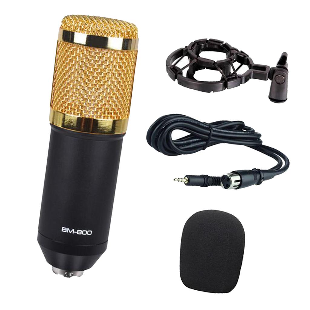 Wired Microphone Handheld Microphone for KTV Standard Type- Black