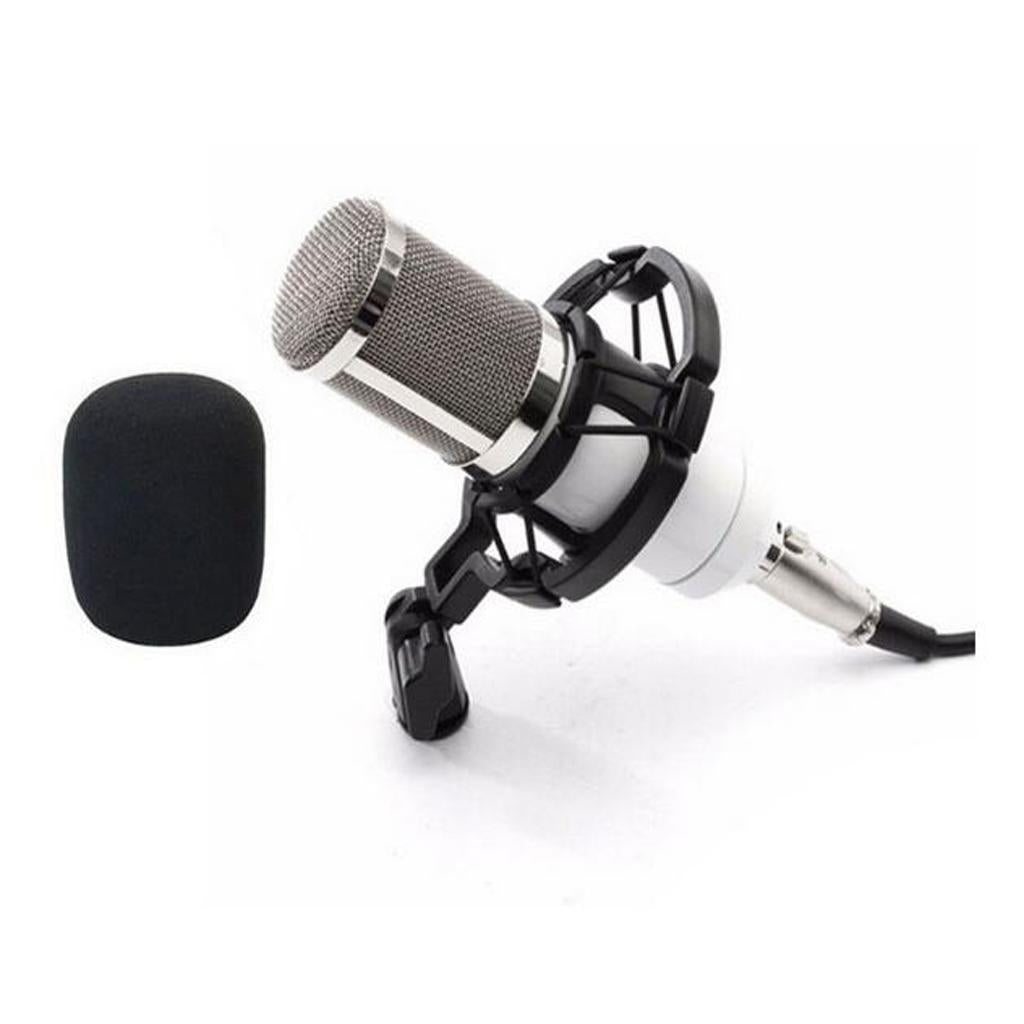 Wired Microphone Handheld Microphone for KTV Standard Type-White