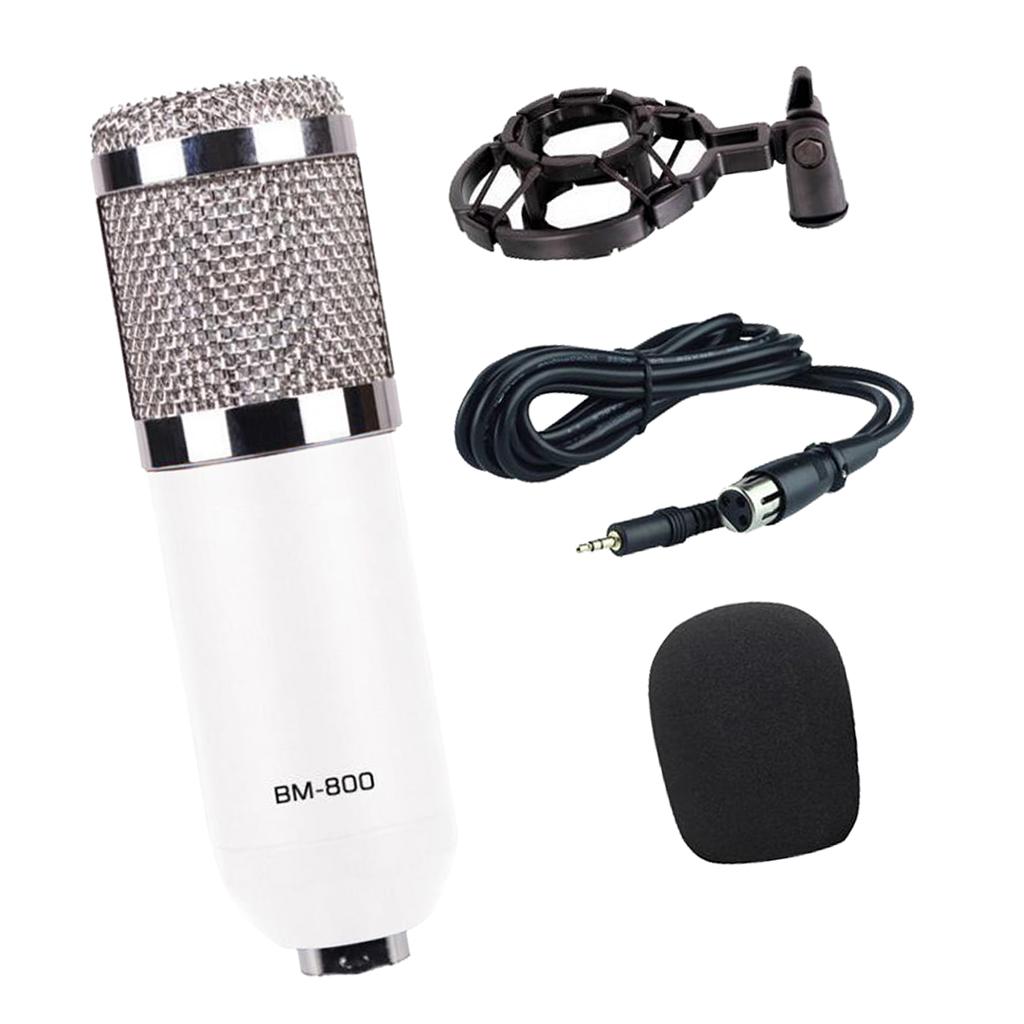 Wired Microphone Handheld Microphone for KTV Standard Type-White