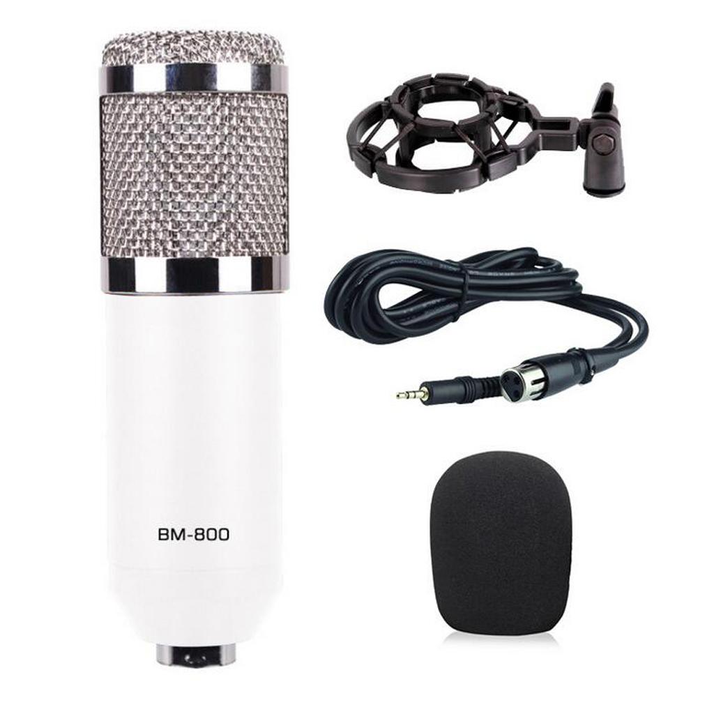 Wired Microphone Handheld Microphone for KTV Standard Type-White