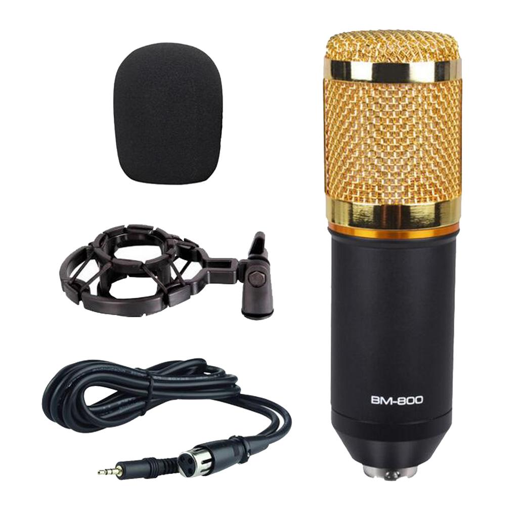 Wired Microphone Handheld Microphone for KTV With Round Circle-Black