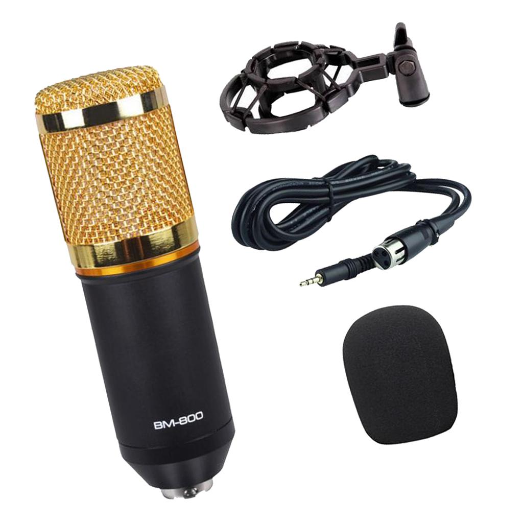 Wired Microphone Handheld Microphone for KTV With Round Circle-Black