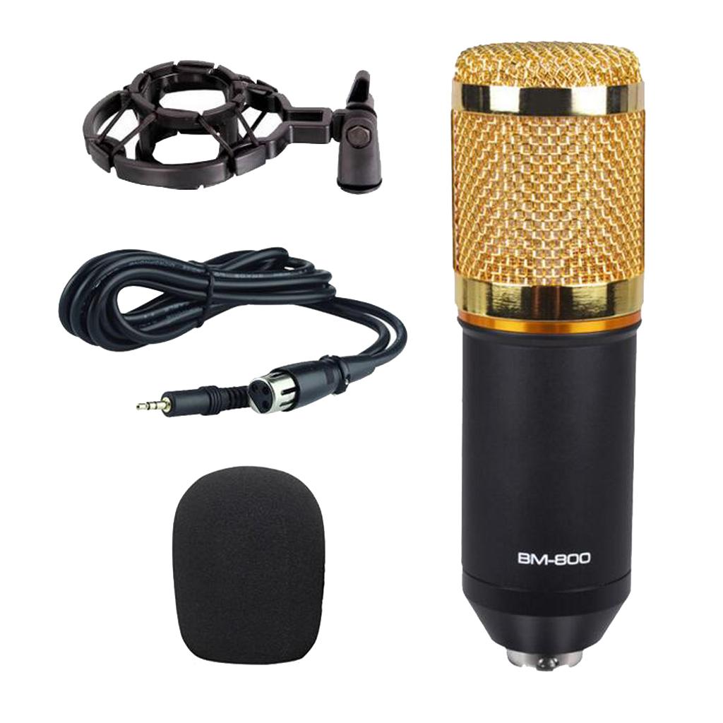 Wired Microphone Handheld Microphone for KTV With Round Circle-Black