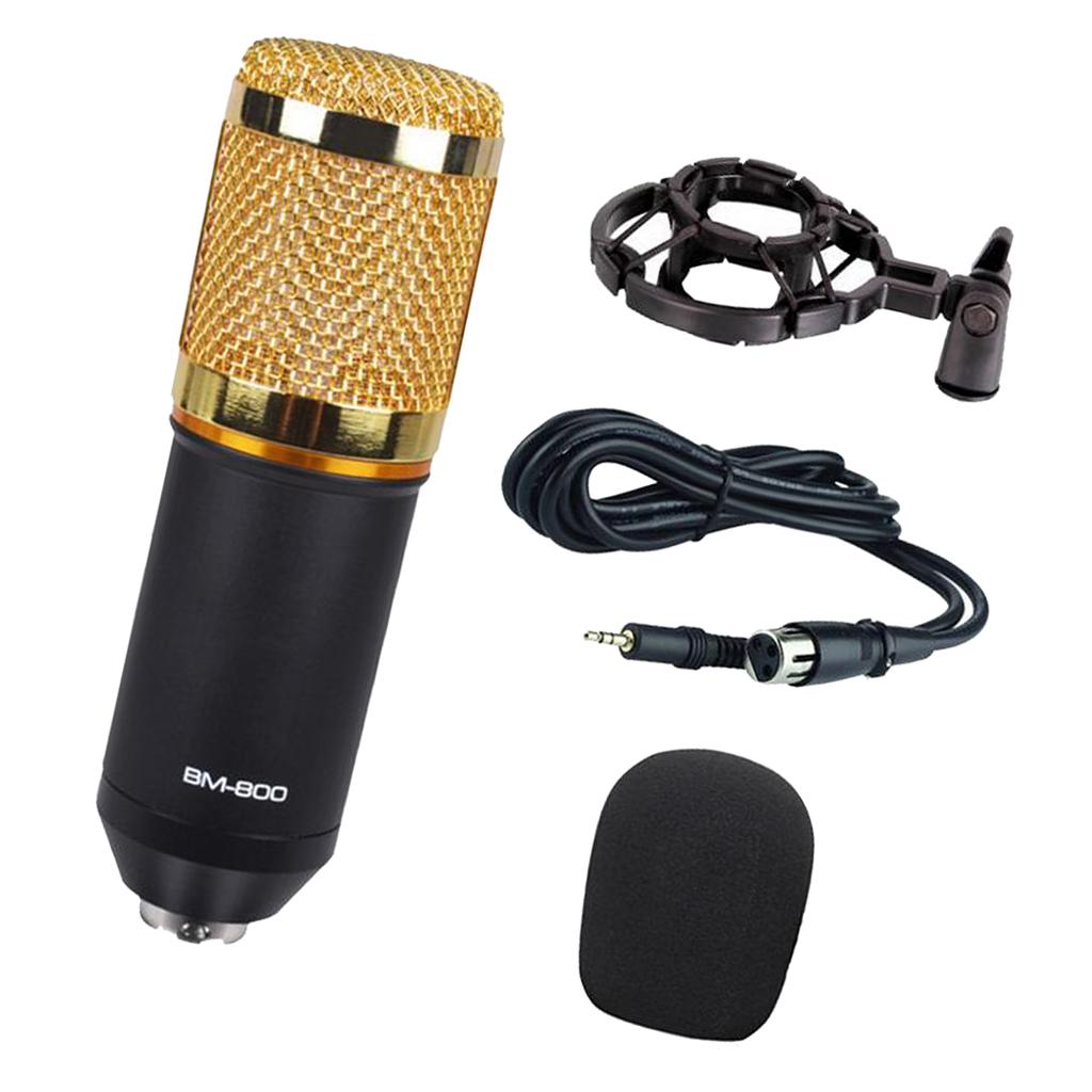 Wired Microphone Handheld Microphone for KTV With Round Circle-Black