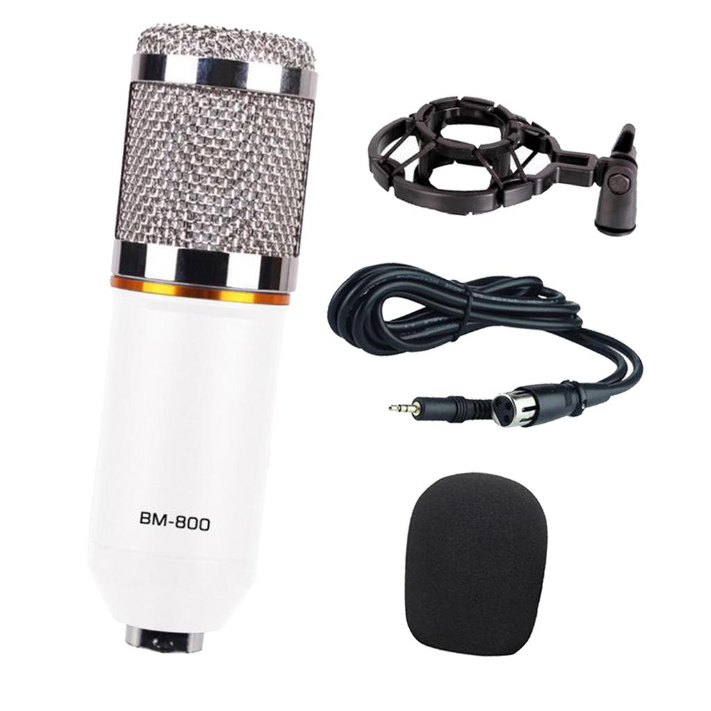 Wired Microphone Handheld Microphone for KTV With Round Circle -White