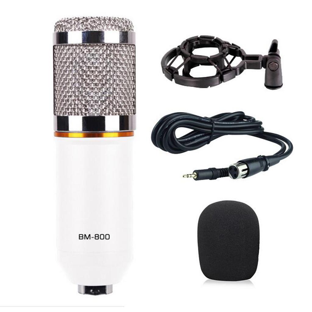 Wired Microphone Handheld Microphone for KTV With Round Circle -White