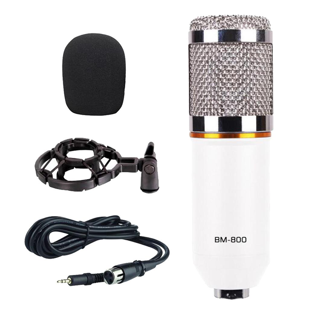 Wired Microphone Handheld Microphone for KTV With Round Circle -White