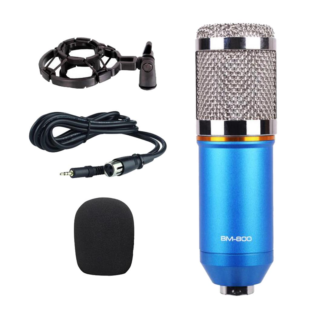Wired Microphone Handheld Microphone for KTV With Round Circle -Blue