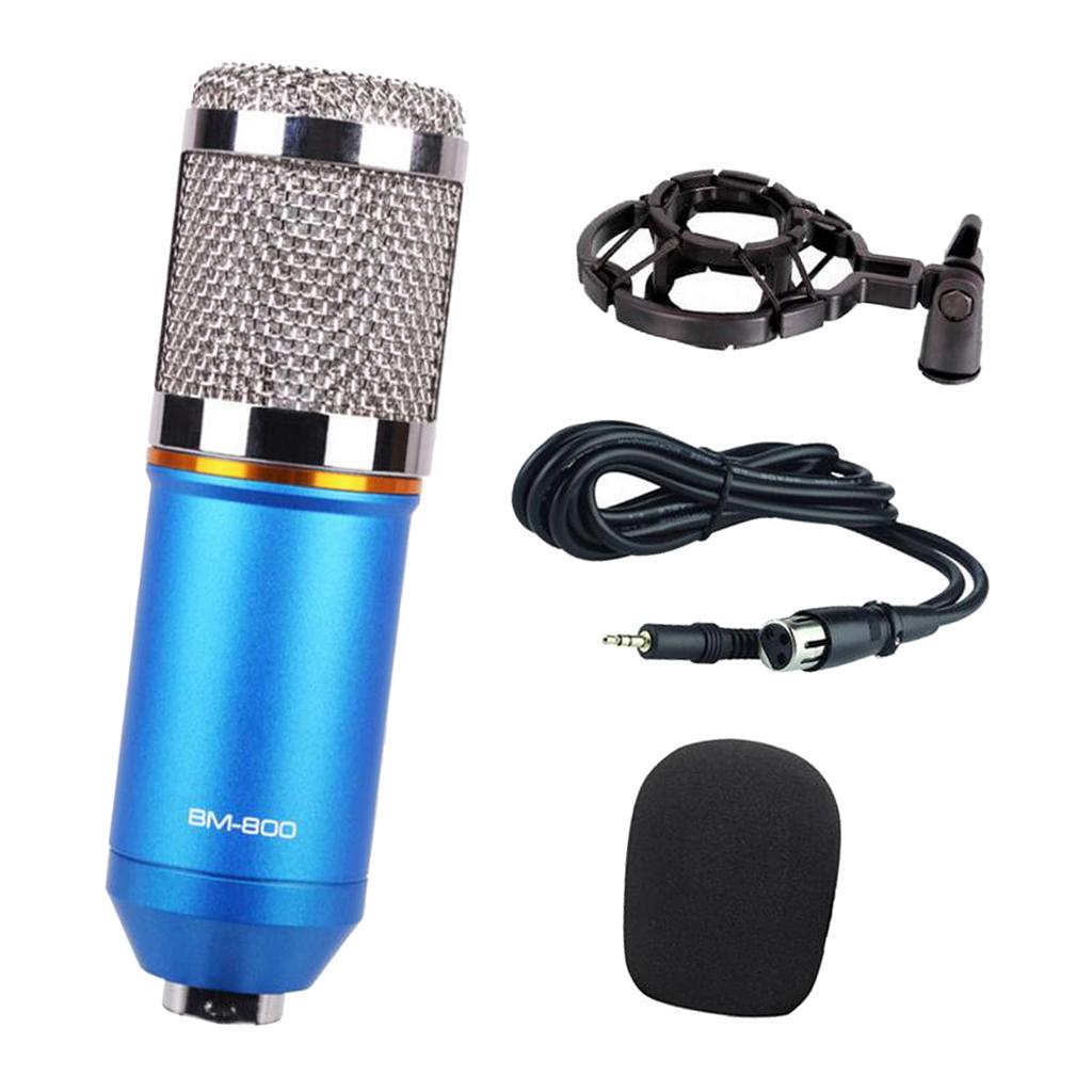 Wired Microphone Handheld Microphone for KTV With Round Circle -Blue