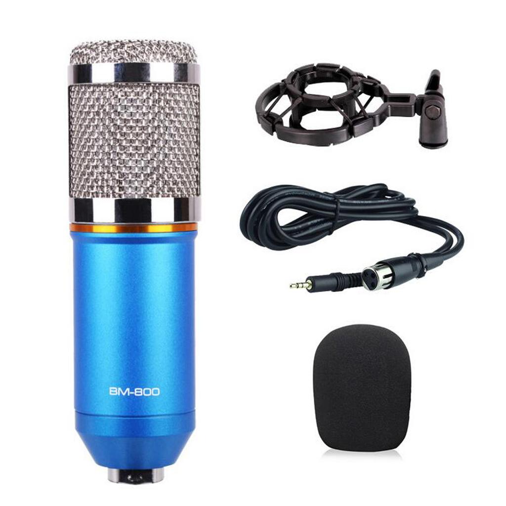 Wired Microphone Handheld Microphone for KTV With Round Circle -Blue