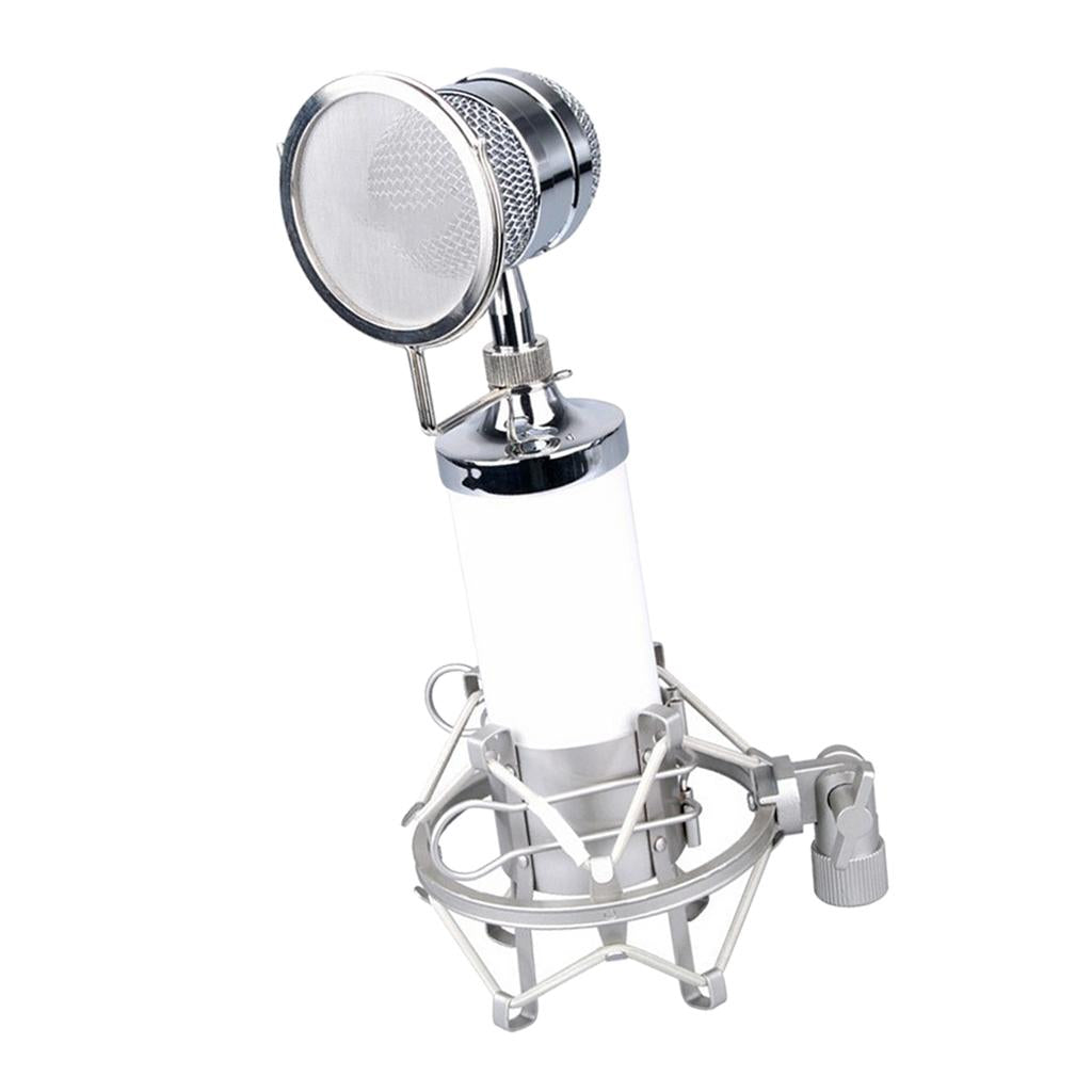 Plastic Mini Capacitance Mobile iPhone Microphone White