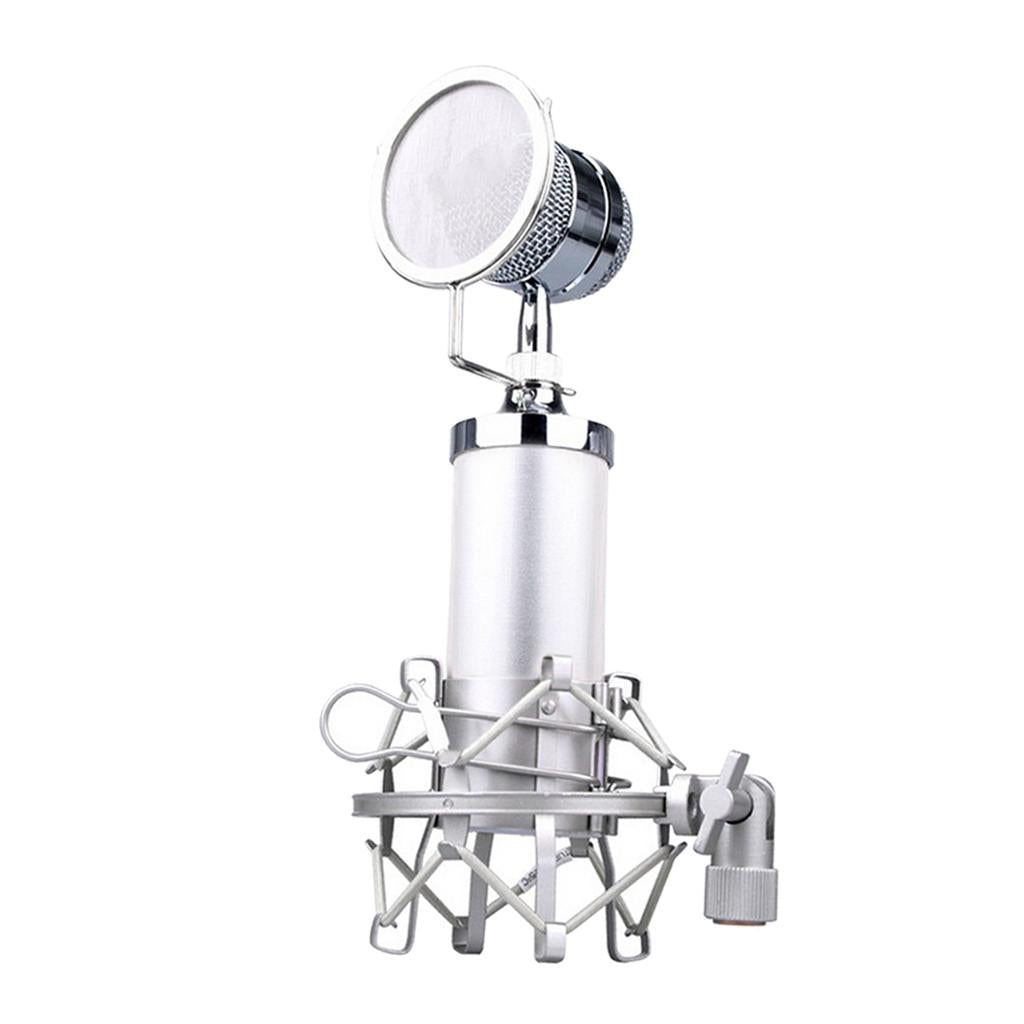 Plastic Mini Capacitance Mobile iPhone Microphone Silver