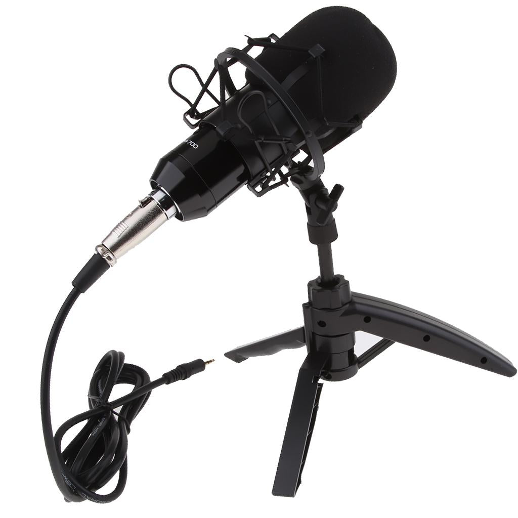 USB Table Studio Condenser Microphone with Tripod Stand Filter Shield Silver