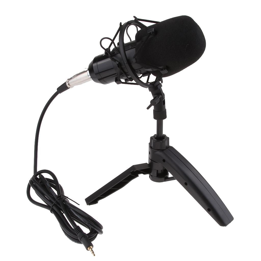 USB Table Studio Condenser Microphone with Tripod Stand Filter Shield Silver