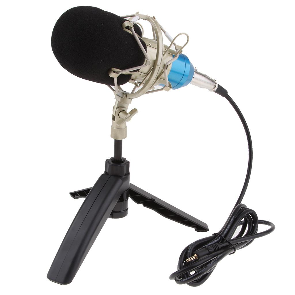 Table Studio Condenser Microphone with Tripod Stand Filter Shield Blue