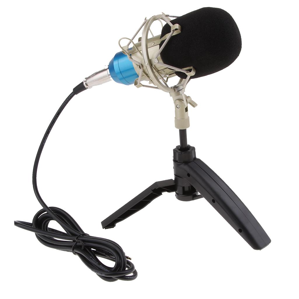 Table Studio Condenser Microphone with Tripod Stand Filter Shield Blue