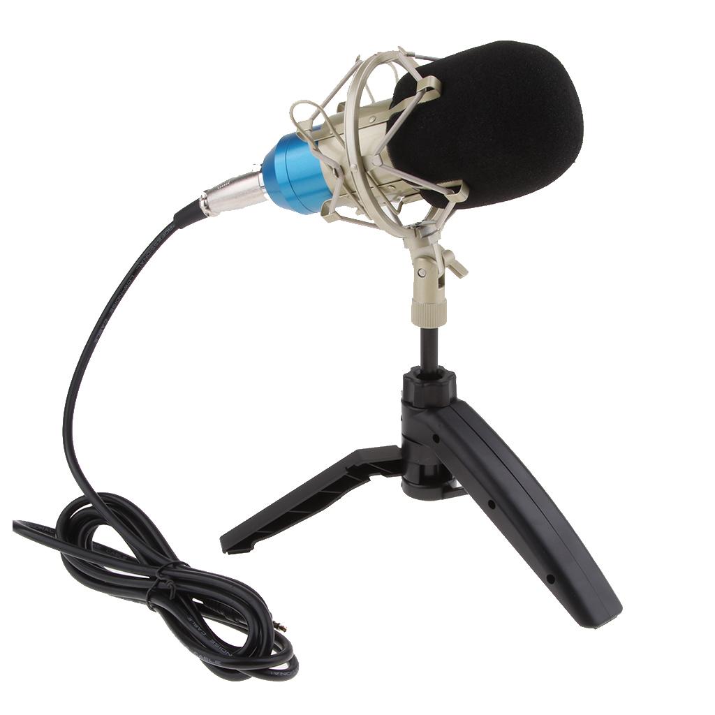Table Studio Condenser Microphone with Tripod Stand Filter Shield Blue