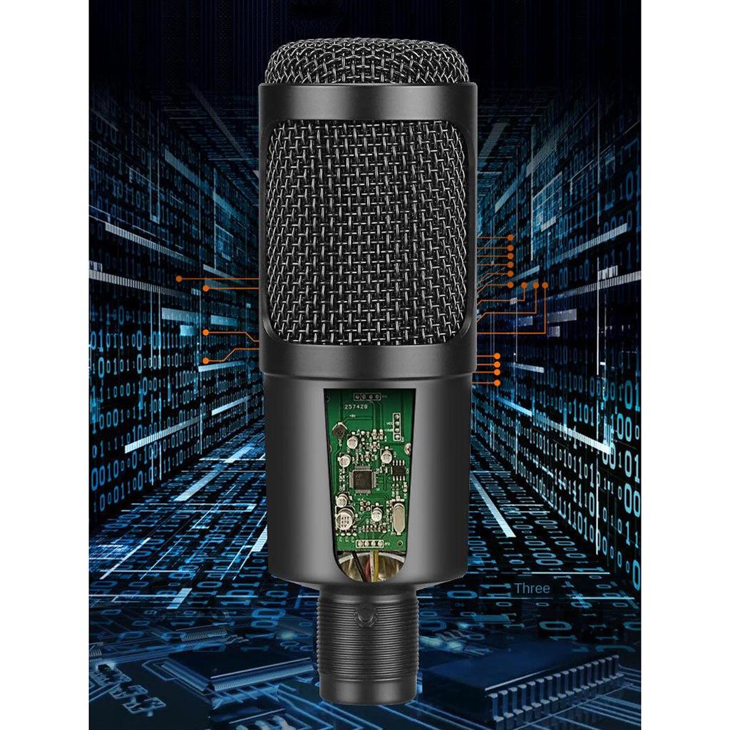 USB Studio Recording Microphone,Condenser Broadcast Mic w/ Stand Recording