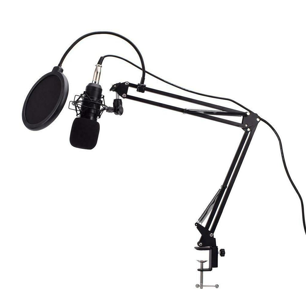 Condenser Microphone Kit Professional Broadcasting Studio Recording Mic