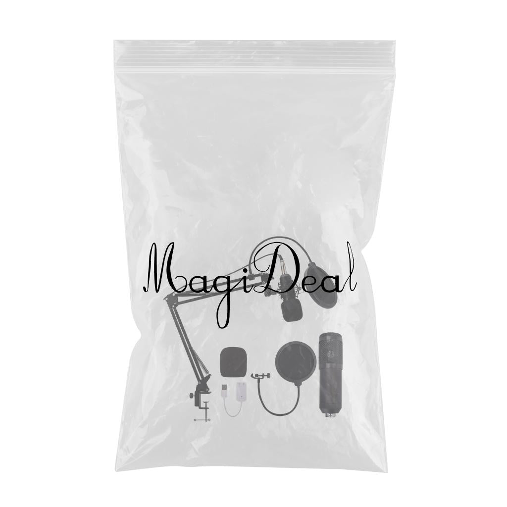 Condenser Microphone Kit Professional Broadcasting Studio Recording Mic