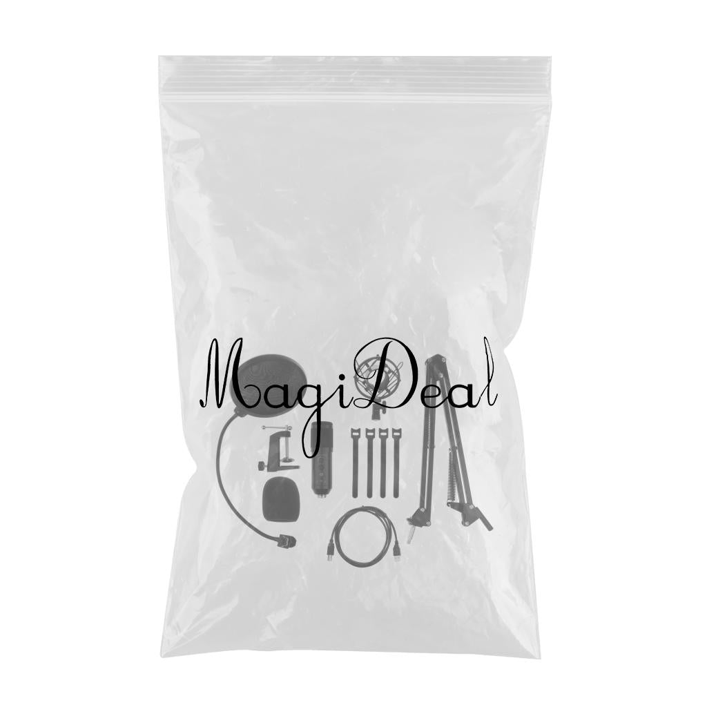 Professional Microphone Kit Broadcasting Studio Recording Condenser