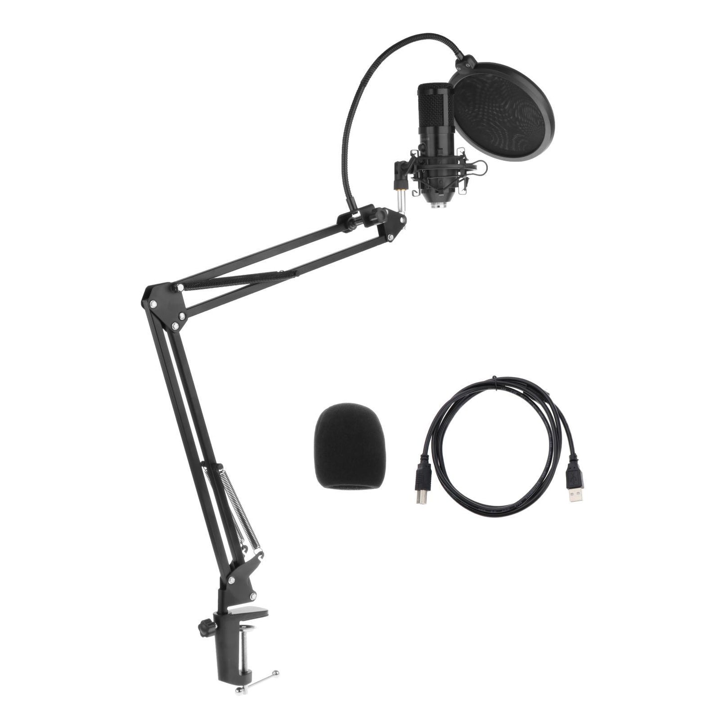 Professional Microphone Kit Broadcasting Studio Recording Condenser