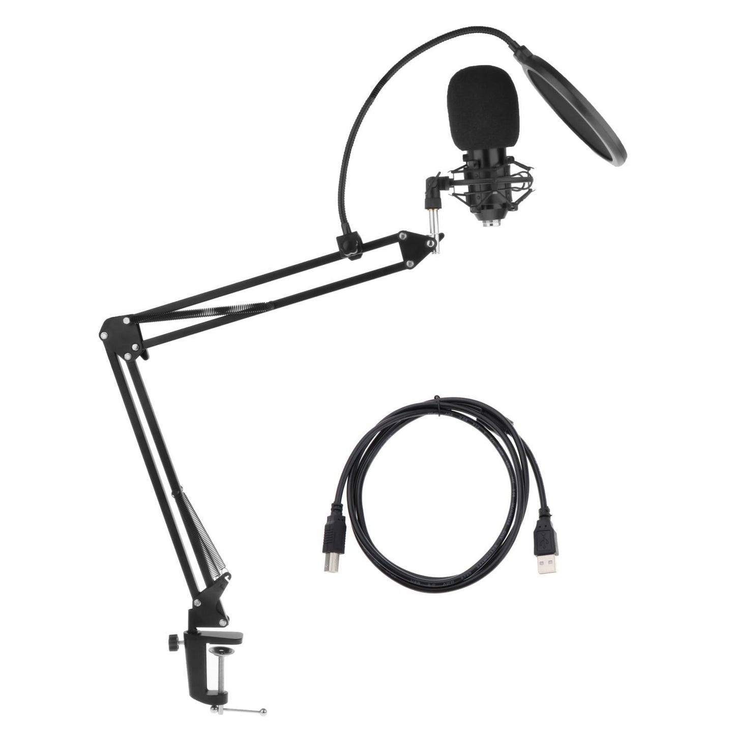 Professional Microphone Kit Broadcasting Studio Recording Condenser