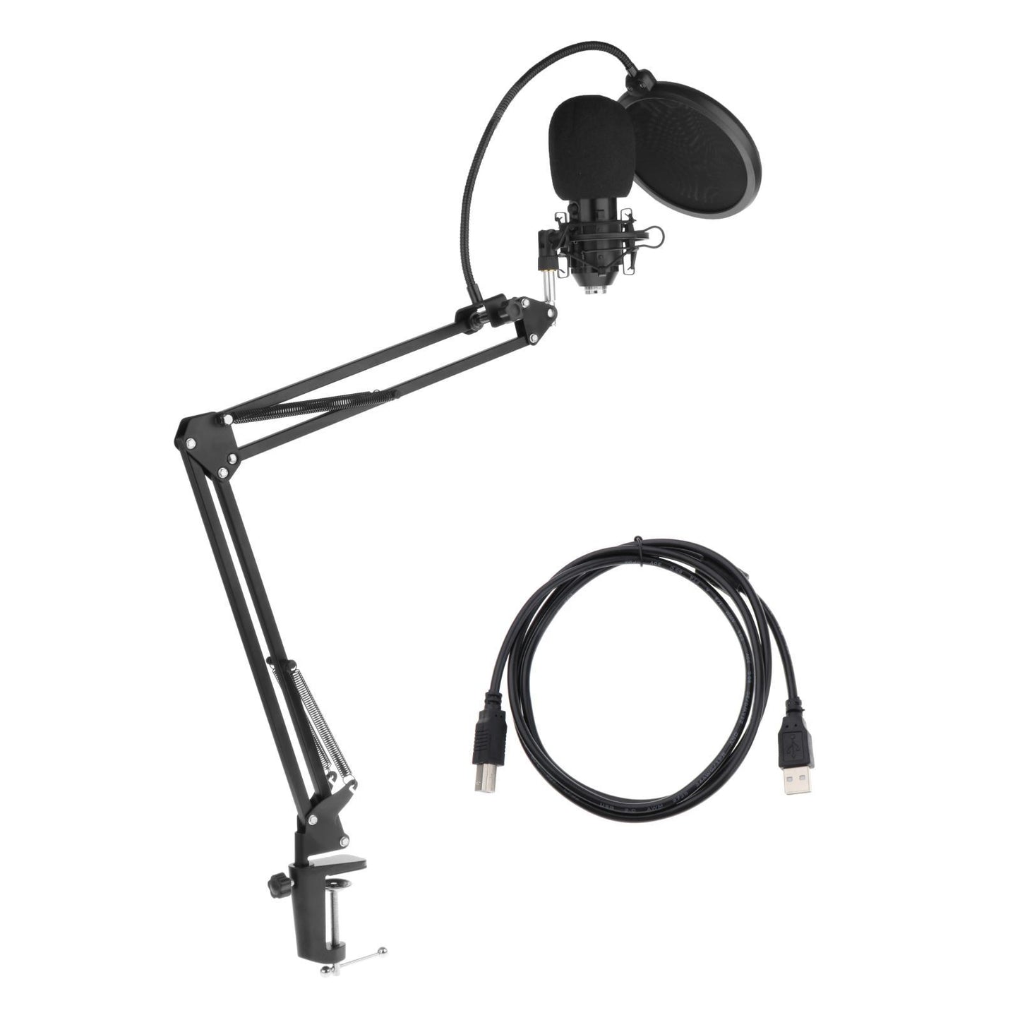 Professional Microphone Kit Broadcasting Studio Recording Condenser