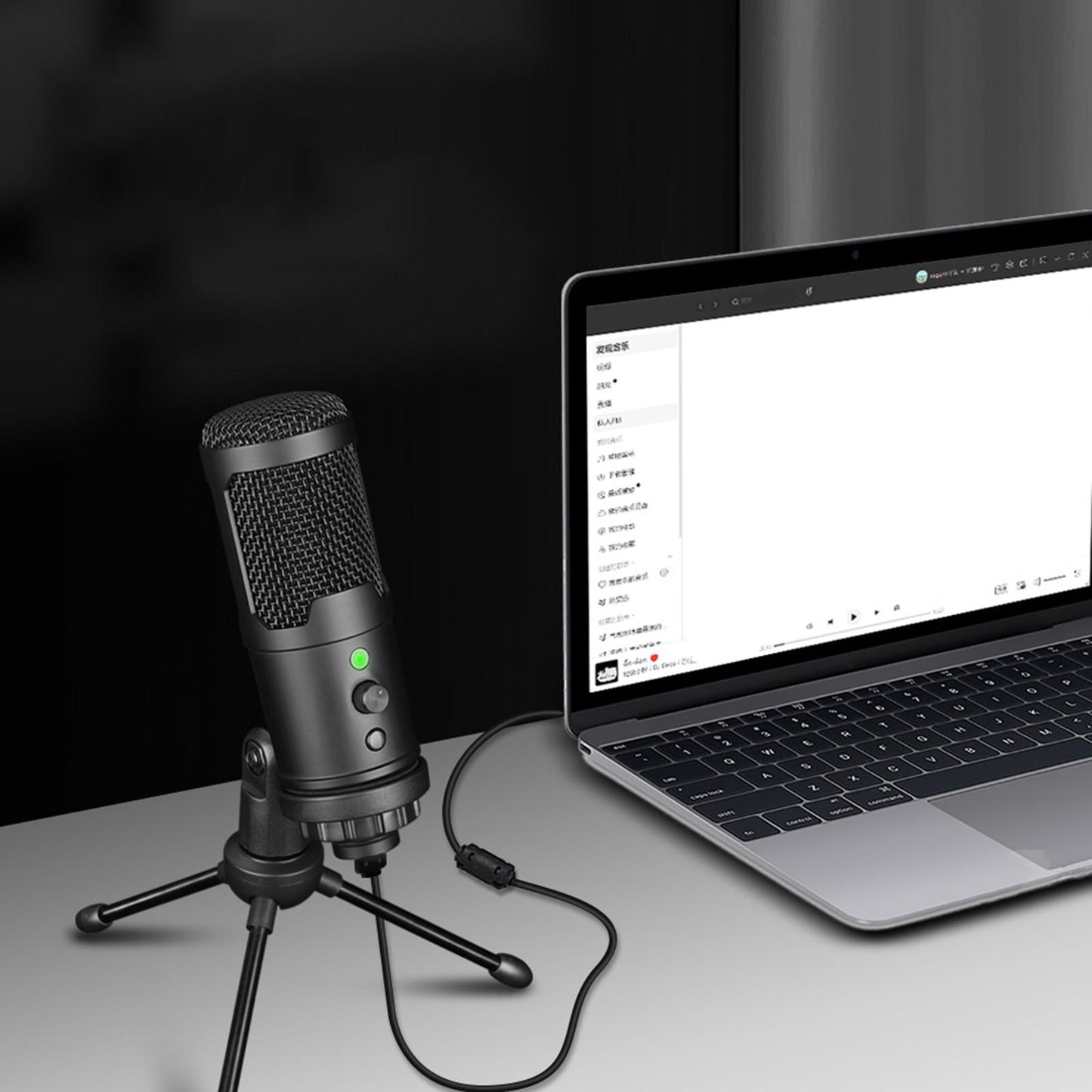 Professional USB Microphone Studio Mic for Podcasting Streaming Computer PC