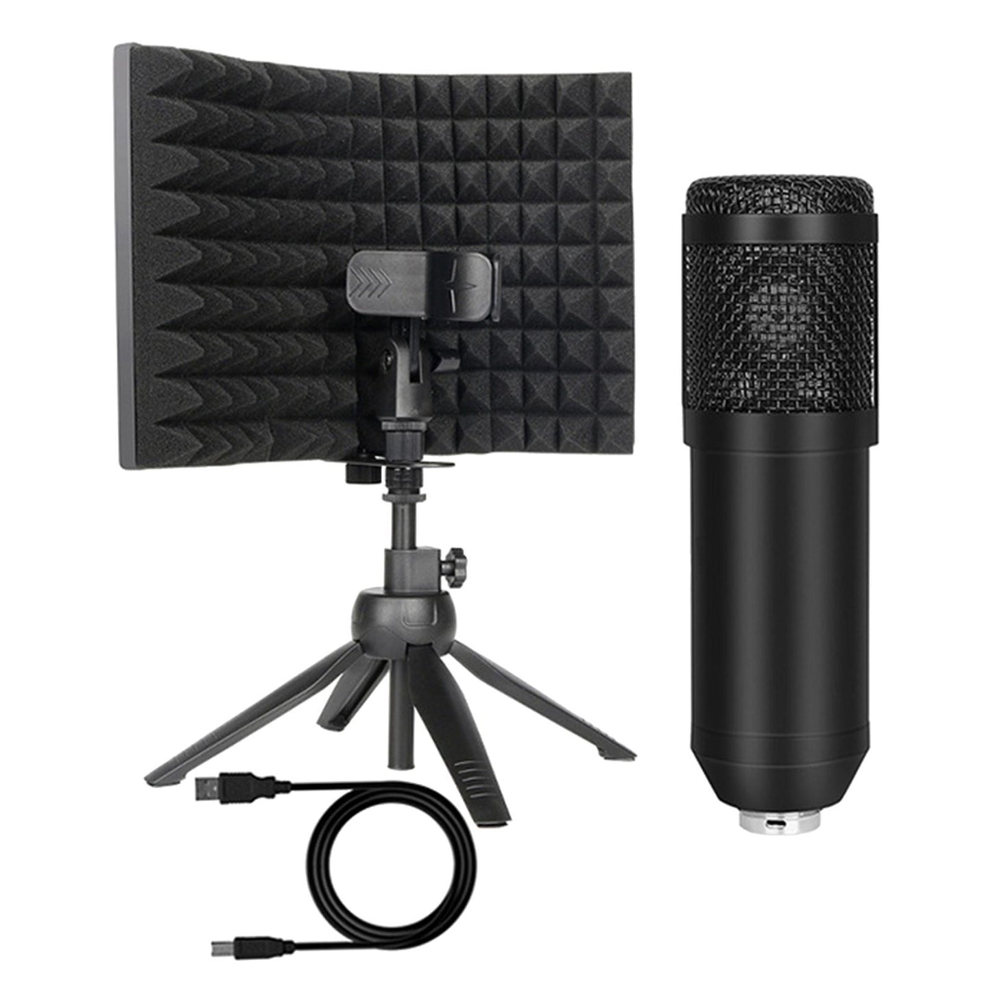 BM800 Condenser Microphone Studio Vocal Recording Mic Stand Set USB line