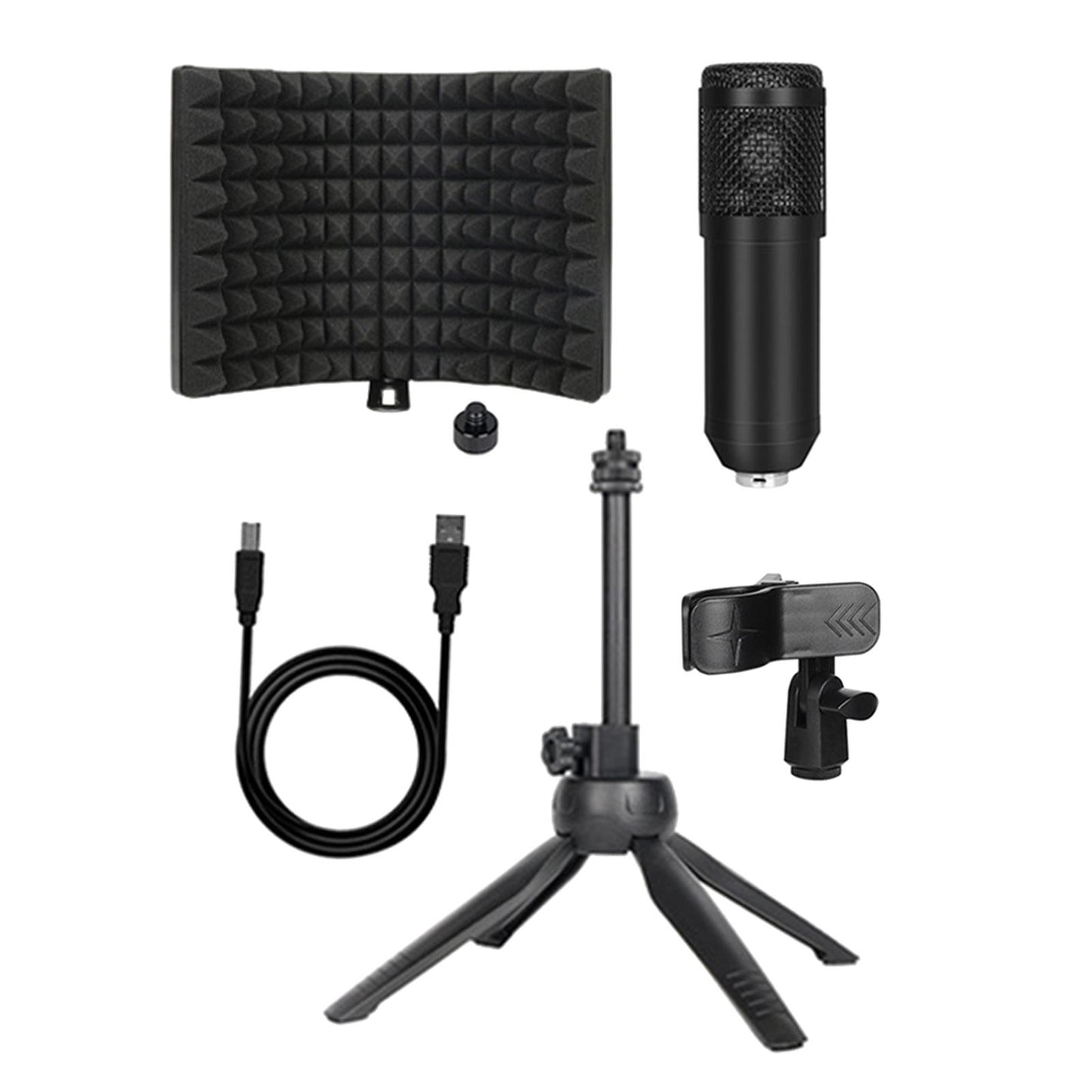 BM800 Condenser Microphone Studio Vocal Recording Mic Stand Set USB line