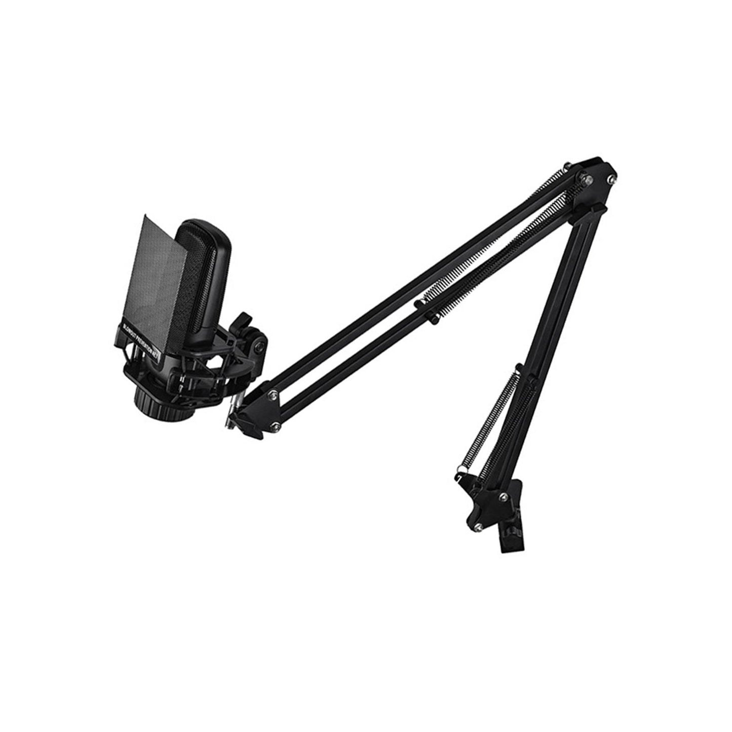 Microphone Arm Stand with Microphone Stable for Live Streaming Radio Station Arm Stand