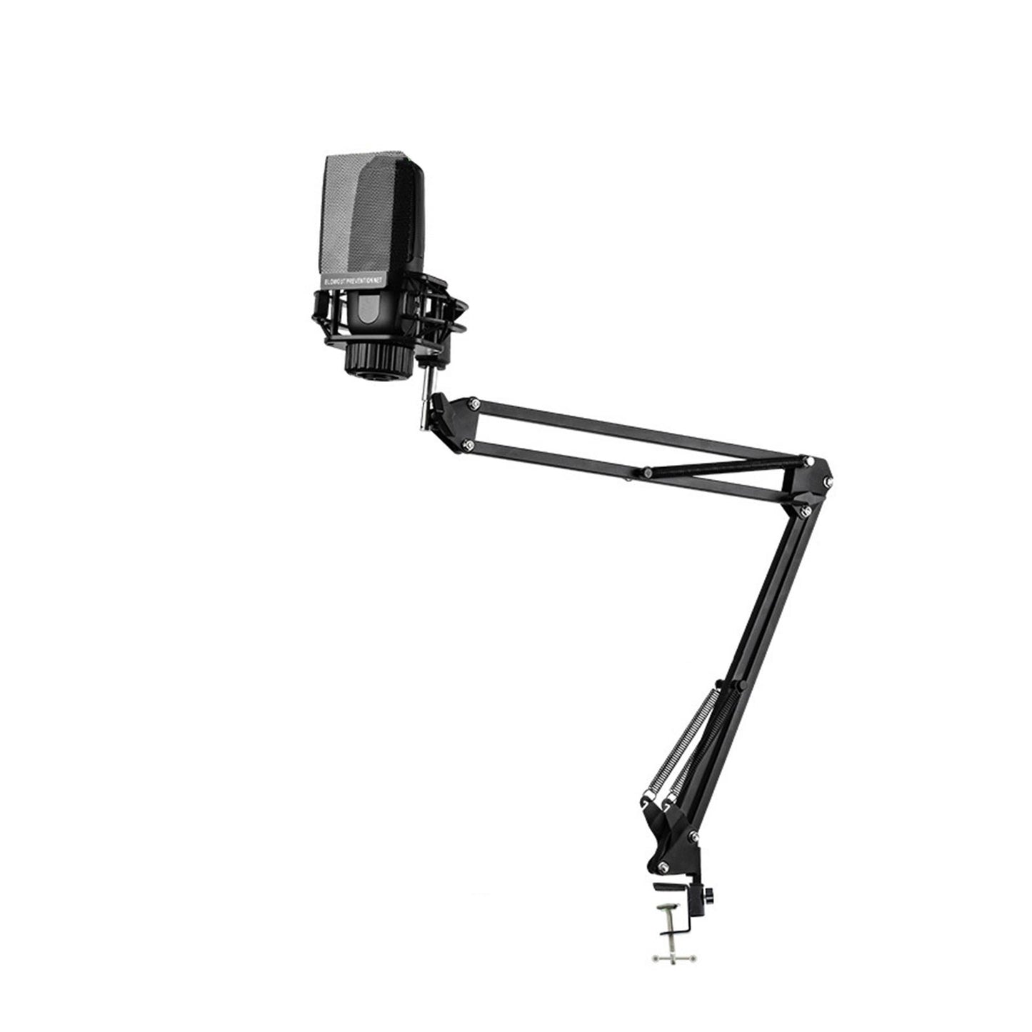 Microphone Arm Stand with Microphone Stable for Live Streaming Radio Station Arm Stand