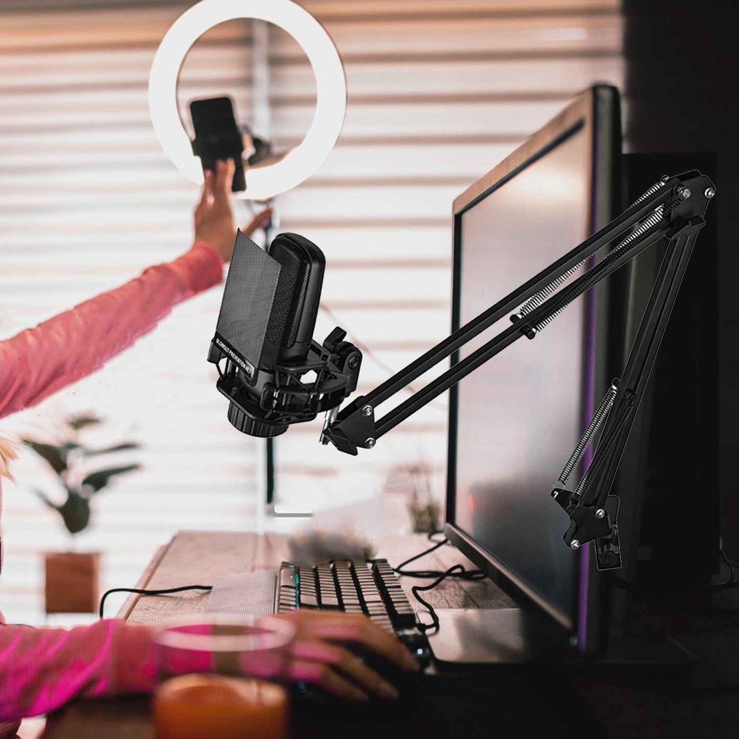 Microphone Arm Stand with Microphone Stable for Live Streaming Radio Station Arm Stand