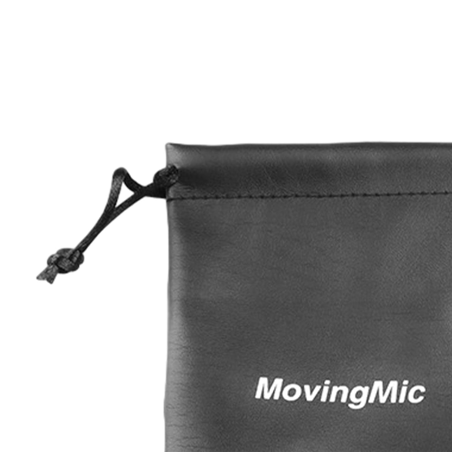 2x Storage Pouch Portable Mic Protective Bag for Travelling Camping Business B 29x10.5cm