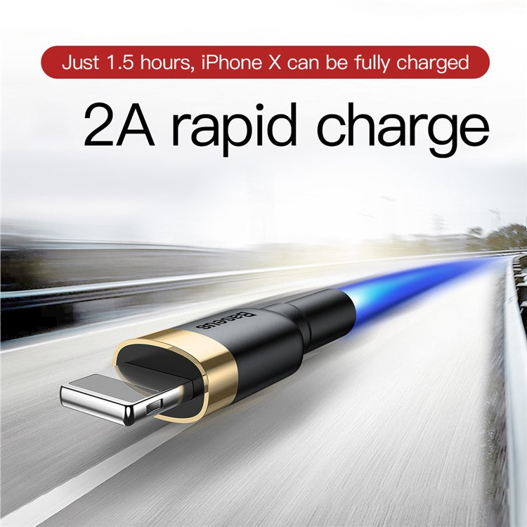BASEUS KLF Series 3m 2A USB iP Charging Cable - Gold / Black