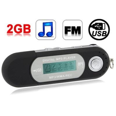 2GB MP3 Player with LCD Screen, Support FM Radio, Work with AAA battery, Use as USB Flash Disk (Black)