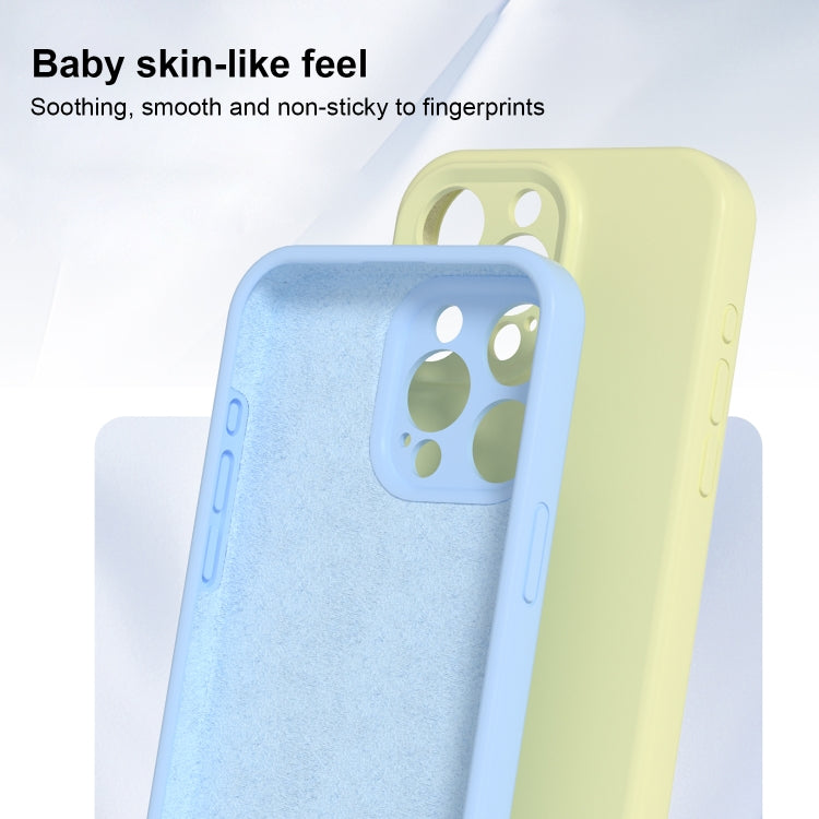 For iPhone 16 Pro Max Precise Hole Liquid Silicone Jelly Color Full Coverage Phone Case(Mint Green)
